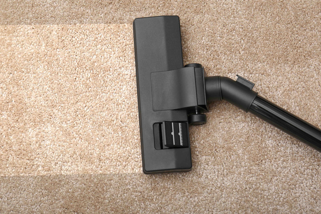 Vacuum for area rug cleaning