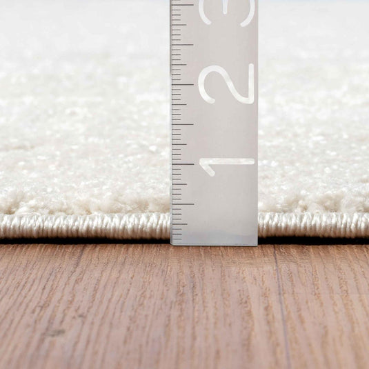 Traditional Floral Cream 139 Area Rug