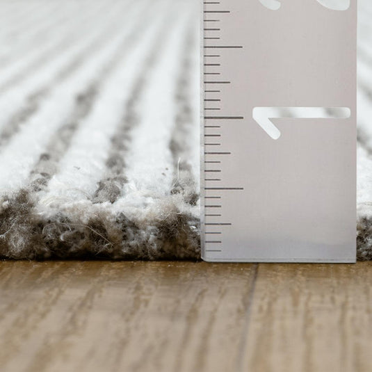 Two Tone 6172 Fringed Area Rug