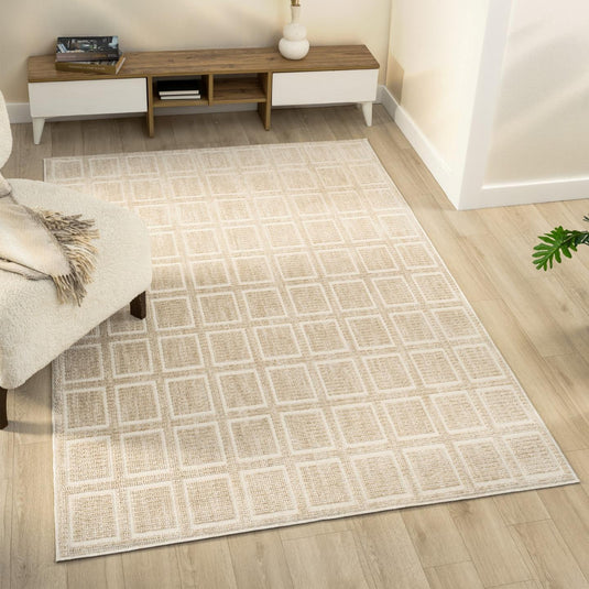 Modern 2933 Geometric Grid Area Rug