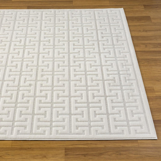 Modern Geometric 6370 Trellis Area Rug