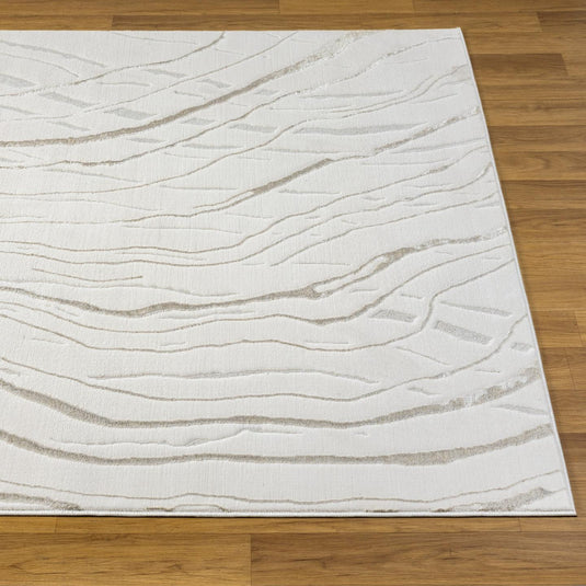 Modern 6422 Abstract Wave Area Rug