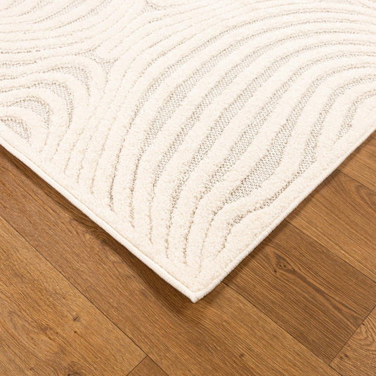 Modern Shapes 1655 Abstract Swirl Area Rug