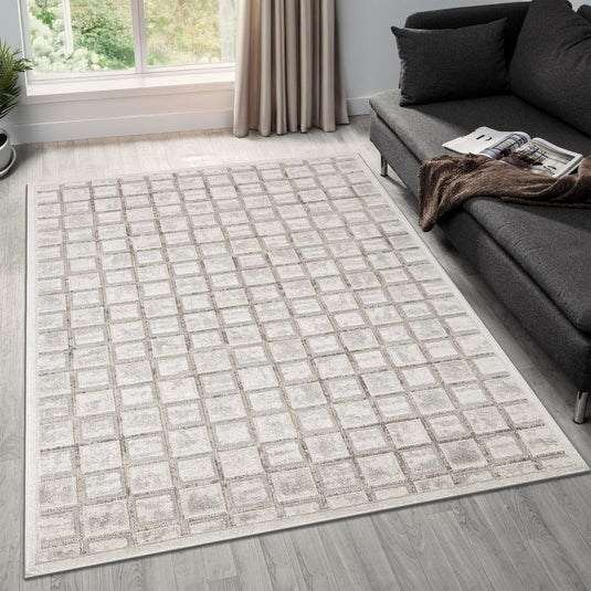 Modern Geometric Grid 6835 Area Rug