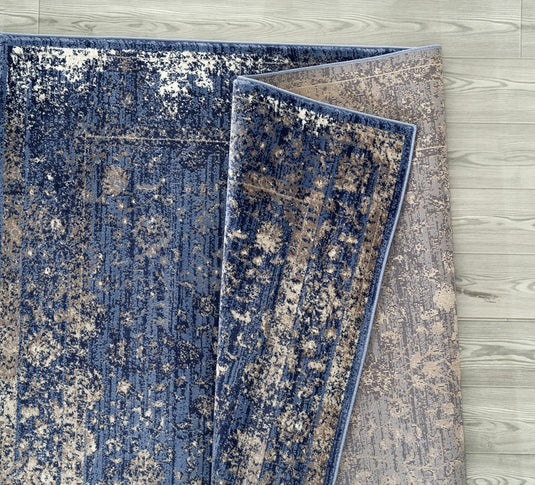 Distressed 2817 Oriental Area Rug