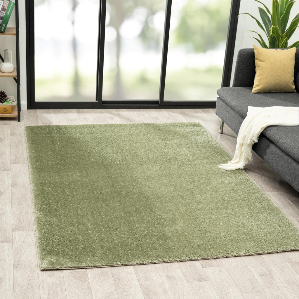 Light Green-living-room-plush-rug