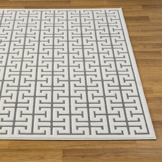 Modern Geometric 6370 Trellis Area Rug
