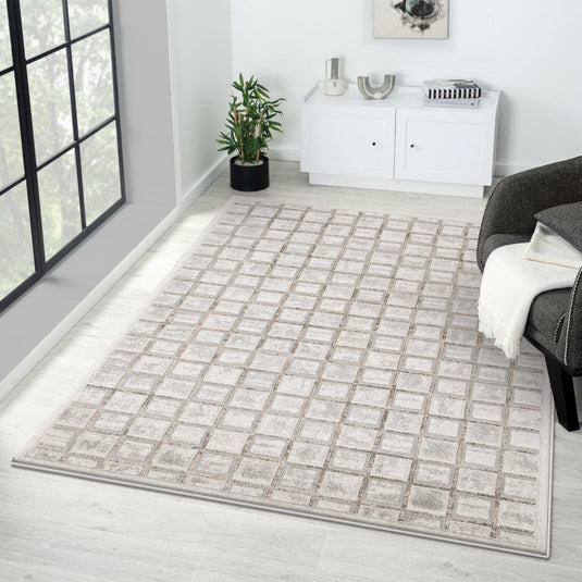 Modern Geometric Grid 6835 Area Rug