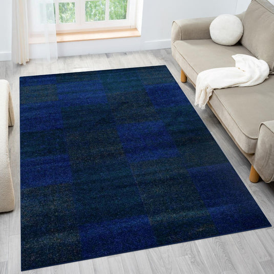 Blue checkered rug in a living room with a beige sofa and window in the background