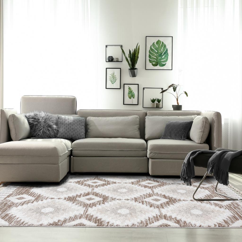 Moroccan-area-rug-living-room